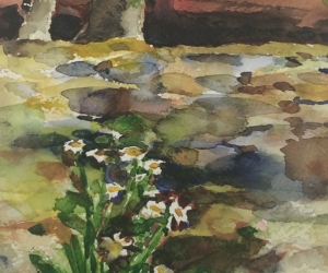 11 Vermont Flowers